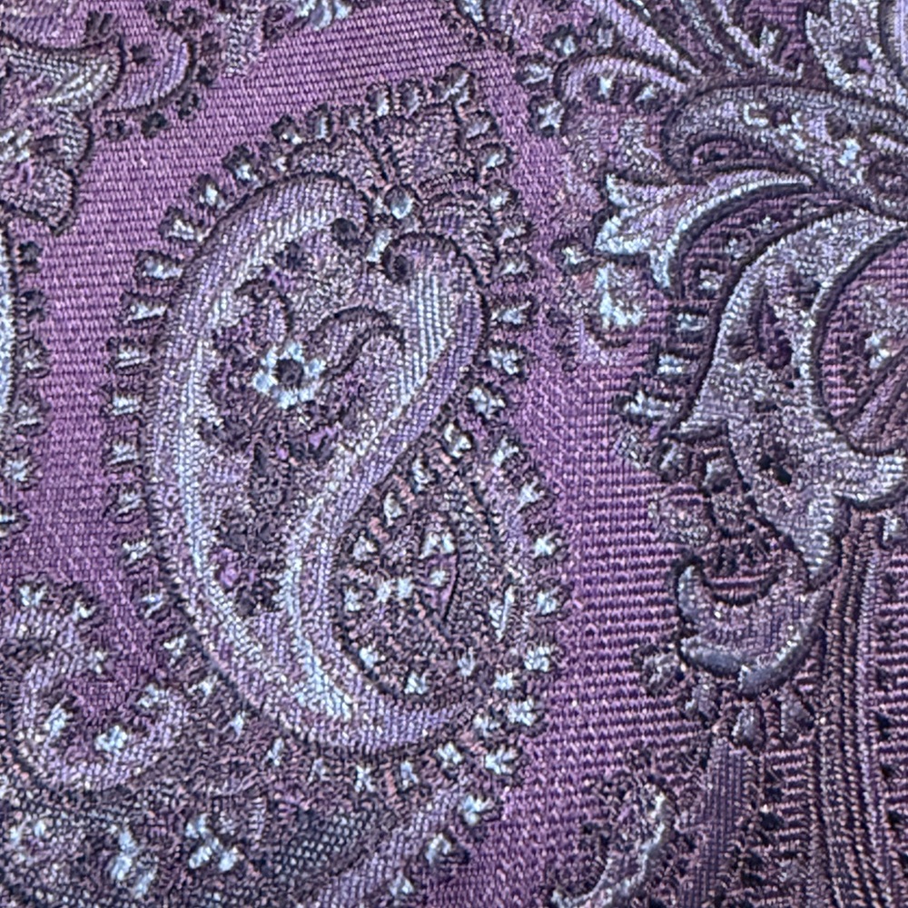 Men's Enro Purple Paisley Tie